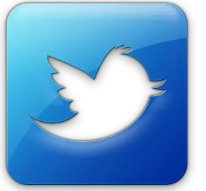 new-twitter-bird-square